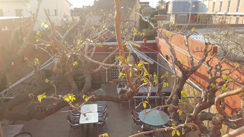 Pension Avenida Вілафранка-дель-Пенедес Екстер'єр фото